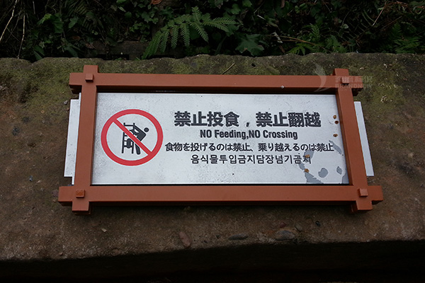 景區(qū)標(biāo)識(shí) 景區(qū)標(biāo)識(shí)